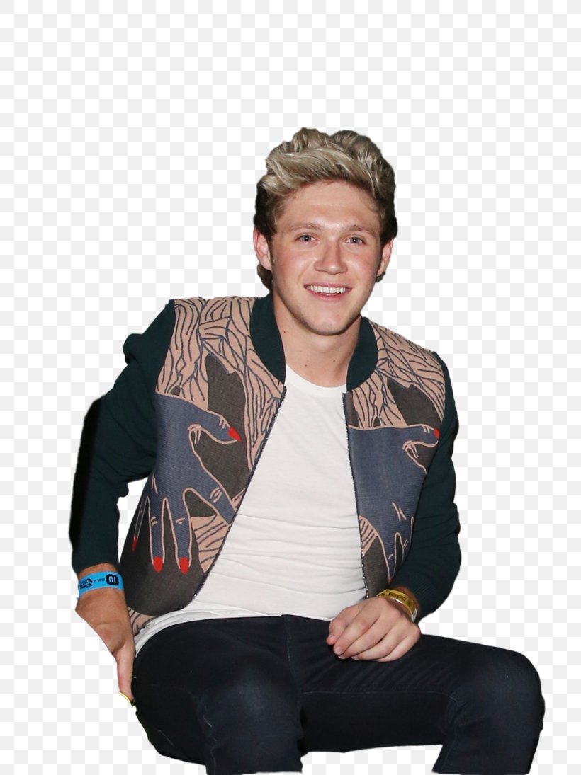 Niall Horan One Direction Mullingar Desktop Wallpaper, PNG, 730x1095px, Watercolor, Cartoon, Flower, Frame, Heart Download Free