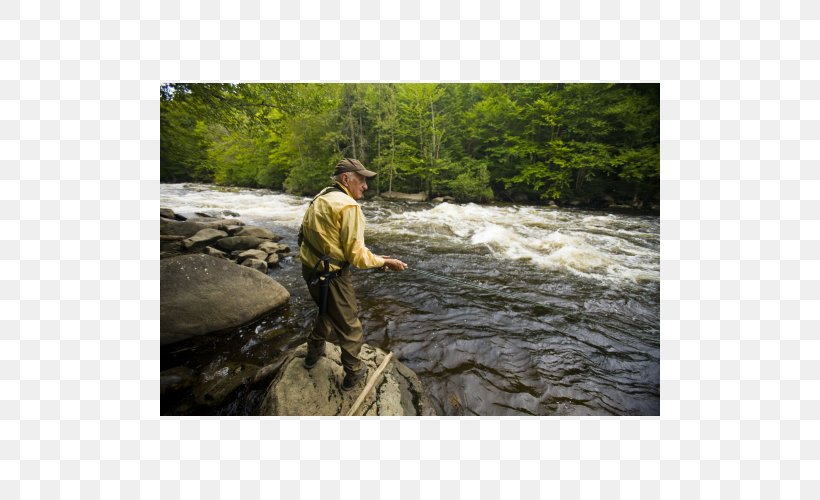 Fly Fishing Water Resources Tree, PNG, 500x500px, Fly Fishing, Bank, Creek, Fishing, Hobby Download Free