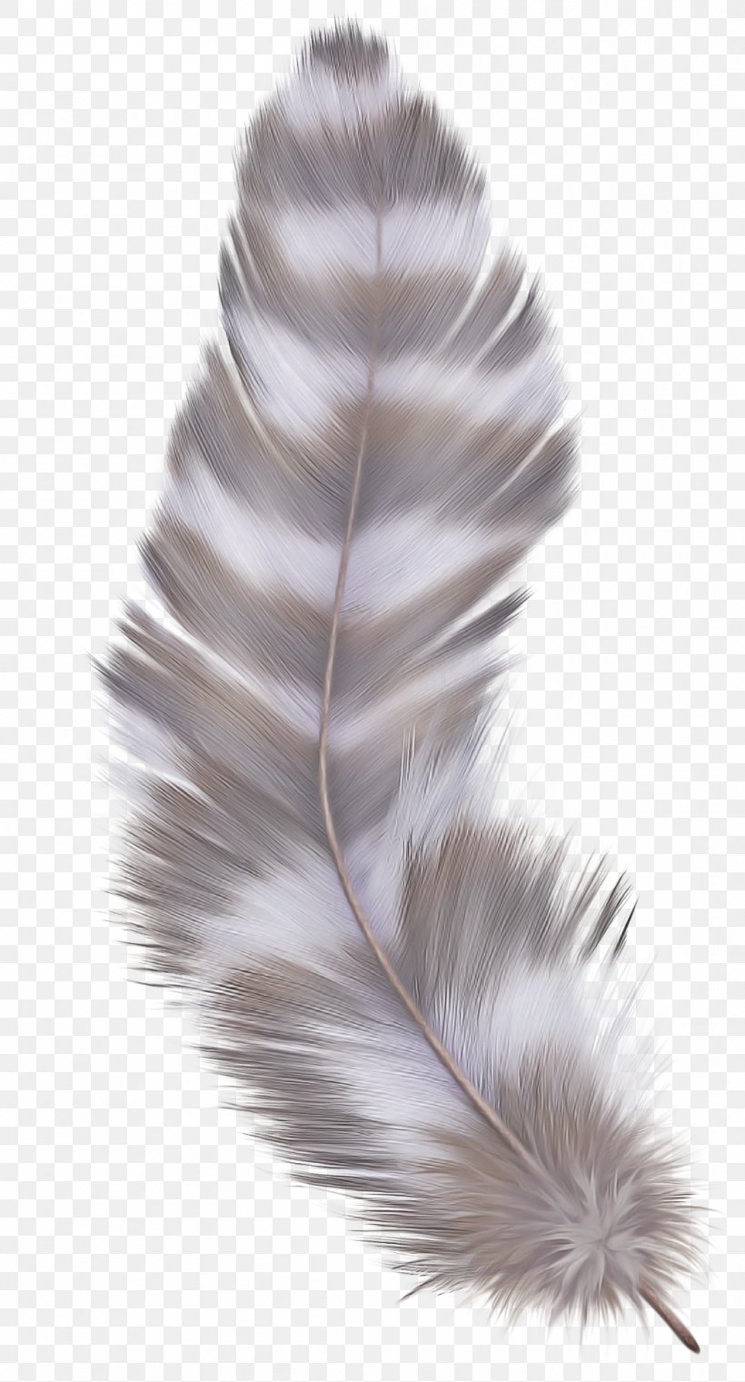Silver Background, PNG, 1051x1950px, Closeup, Feather, Natural Material, Quill, Silver Download Free
