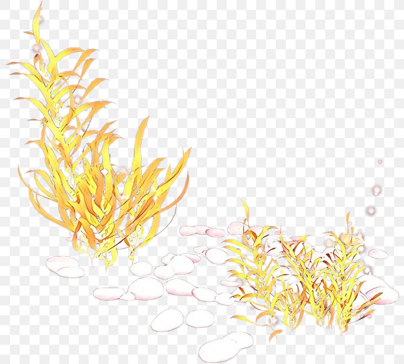 Yellow Grass Family Plant Grass, PNG, 800x739px, Cartoon, Grass, Grass Family, Plant, Yellow Download Free