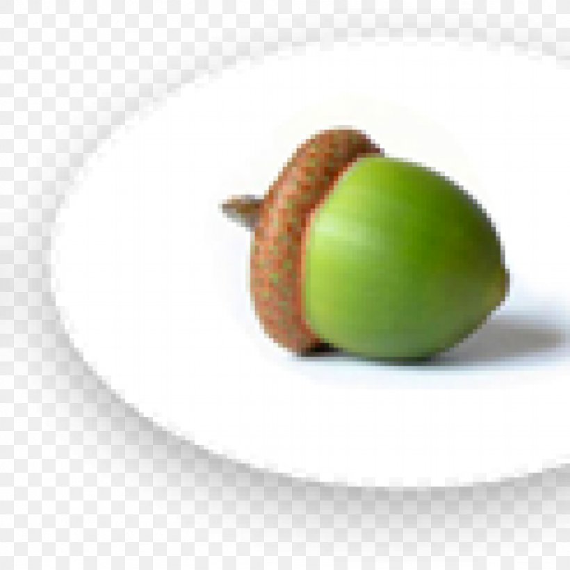 Acorn Oak Nut, PNG, 1024x1024px, Acorn, Acorn Flour, Advertising, Apple, Calybium And Cupule Download Free