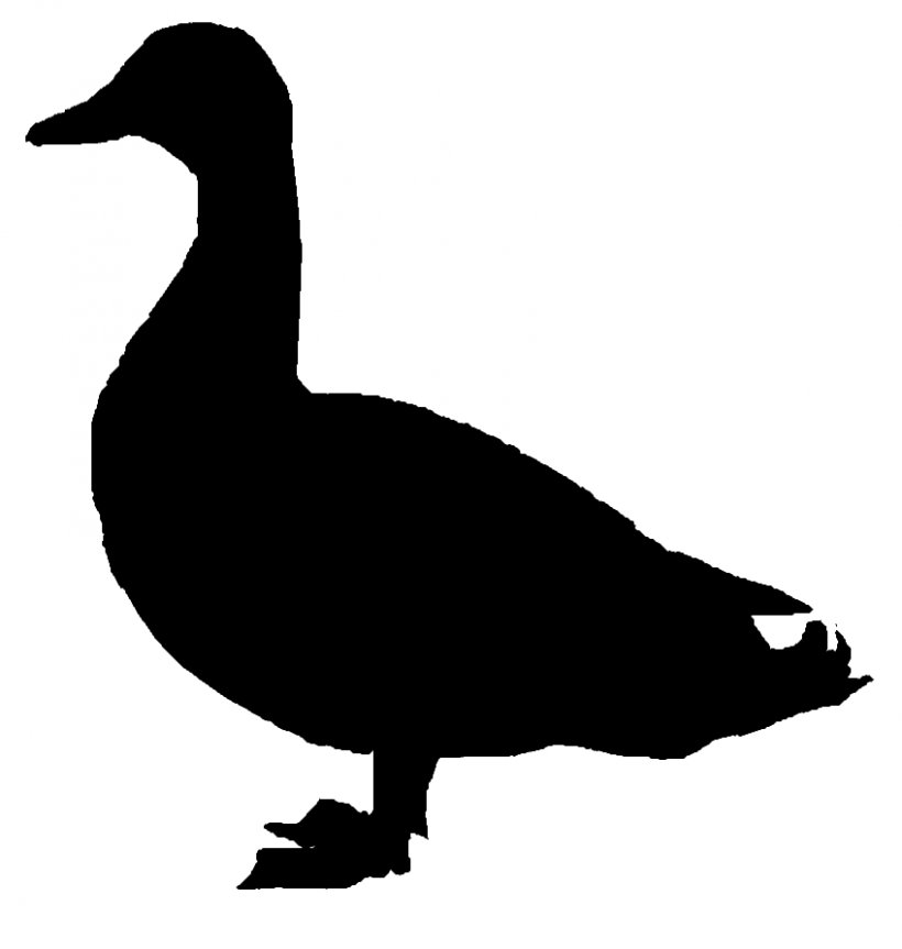 Donald Duck Mallard Goose Clip Art, PNG, 848x893px, Duck, Beak, Bird, Black And White, Donald Duck Download Free