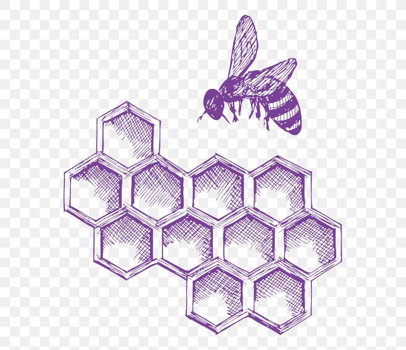 Western Honey Bee Insect Beehive, PNG, 629x707px, Bee, Beehive, Drawing, Honey, Honey Bee Download Free