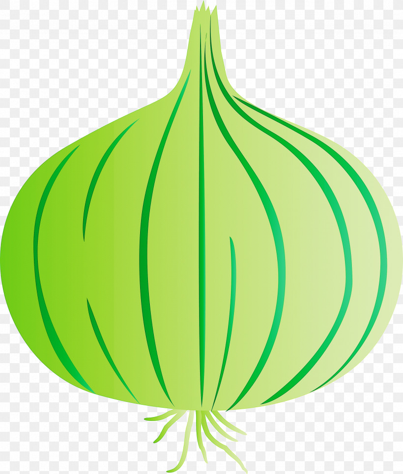 Onion, PNG, 2546x3000px, Onion, Commodity, Fruit, Green, Leaf Download Free