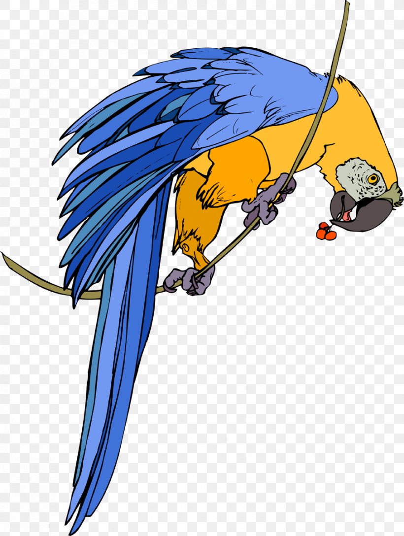 Parrot Bird Animation Clip Art, PNG, 904x1200px, Parrot, Animal, Animation, Beak, Bird Download Free