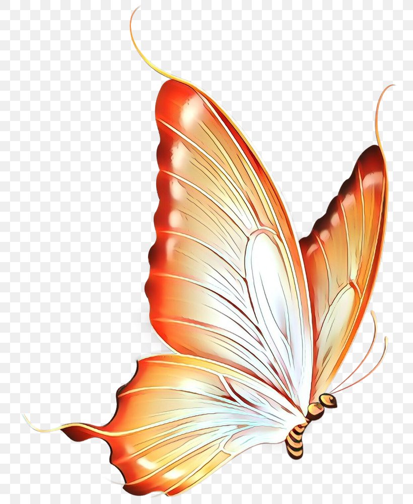 Clip Art Butterfly Image Free Content, PNG, 782x1000px, Butterfly, Art, Insect, Invertebrate, Leaf Download Free