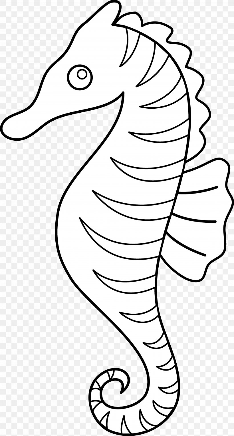 Seahorse Line Art Clip Art, PNG, 3951x7351px, Seahorse, Beak, Black And White, Cartoon, Coloring Book Download Free