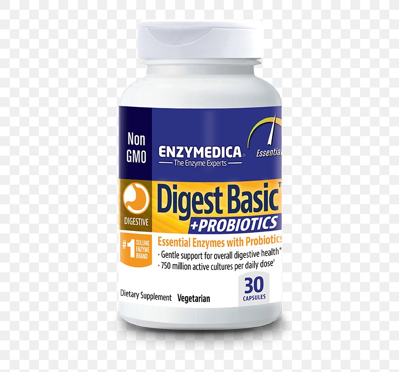 Digestion Digestive Enzyme Probiotic Food, PNG, 475x765px, Digestion, Amylase, Carbohydrate, Cellulase, Dietary Supplement Download Free