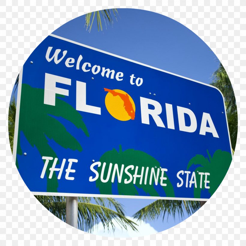 Florida Amendment 2 U.S. State State Constitution California, PNG, 1000x1000px, Florida, Brand, California, Community Solar Farm, Constitution Download Free