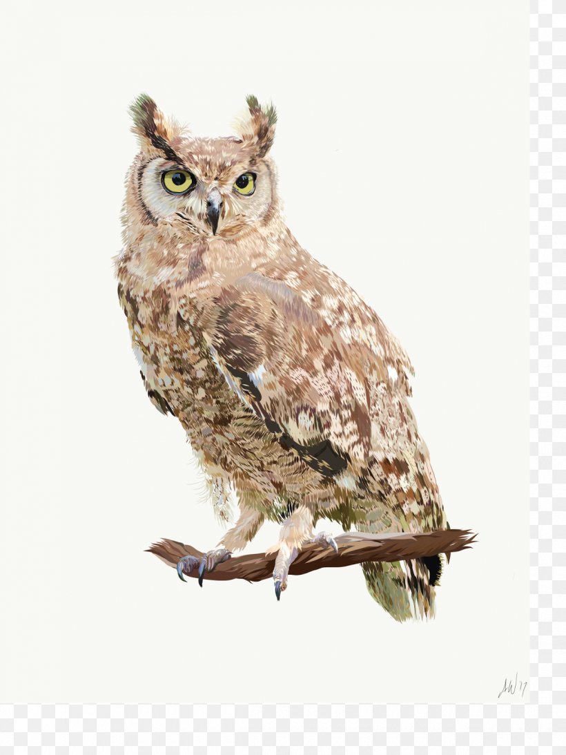 Owl Beak Feather, PNG, 1200x1600px, Owl, Beak, Bird, Bird Of Prey, Fauna Download Free