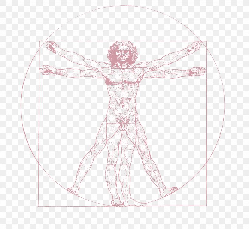 Vitruvian Man Drawing Art Sketch, PNG, 2371x2187px, Watercolor, Cartoon, Flower, Frame, Heart Download Free