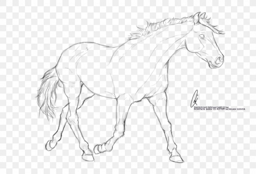 Arabian Horse Pony Foal Stallion Line Art, PNG, 900x613px, Arabian Horse, Animal Figure, Arm, Art, Artwork Download Free
