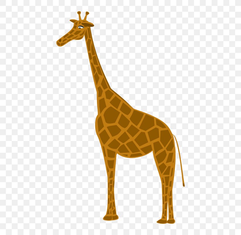 Northern Giraffe Clip Art, PNG, 800x800px, Giraffe, Animal Figure, Camelopardalis, Fauna, Giraffidae Download Free