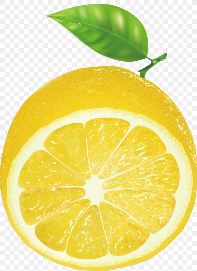 Lemon Key Lime Persian Lime, PNG, 1364x1872px, Lemon, Bitter Orange, Citric Acid, Citron, Citrus Download Free
