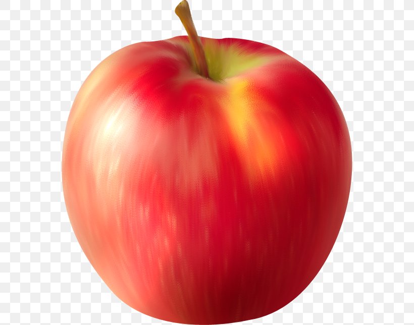 Apple Auglis Computer Software Clip Art, PNG, 576x644px, Apple, Accessory Fruit, Auglis, Computer Software, Diet Food Download Free