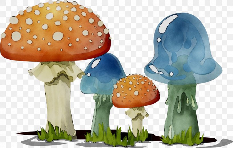 Clip Art Fungus Mushroom Vector Graphics, PNG, 960x610px, Fungus, Agaric, Agaricaceae, Agaricomycetes, Agaricus Download Free