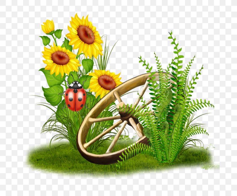 Floral Design Common Sunflower Clip Art, PNG, 700x679px, Floral Design, Common Sunflower, Cut Flowers, Floristry, Flower Download Free