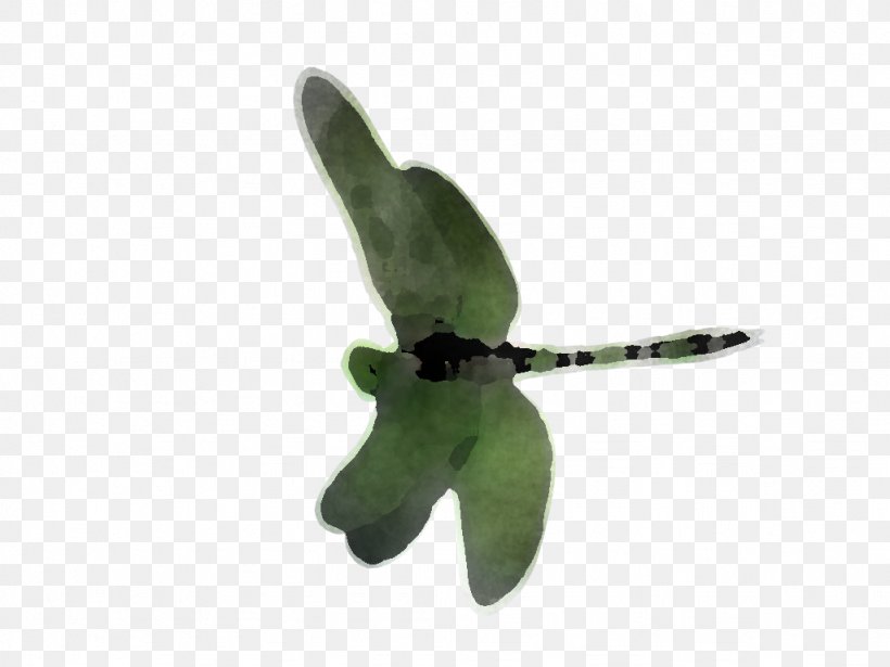 Green Leaf Plant Propeller Flower, PNG, 1024x768px, Green, Flower, Leaf, Plant, Plush Download Free