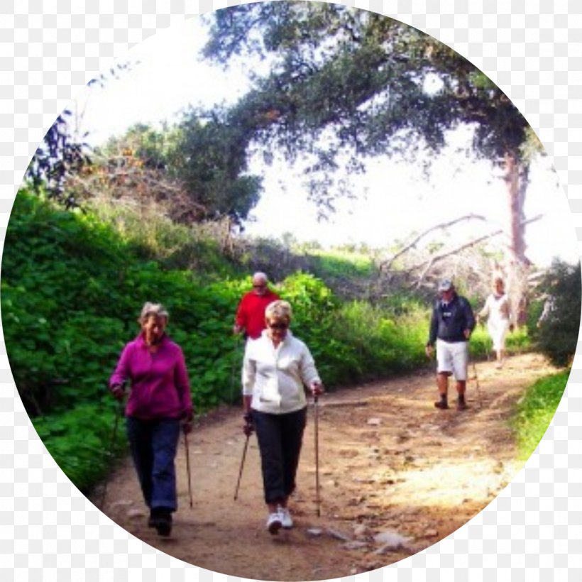 Hiking Leisure Nordic Walking, PNG, 1142x1142px, Hiking, Adventure, Calendar, Cause, Forest Download Free