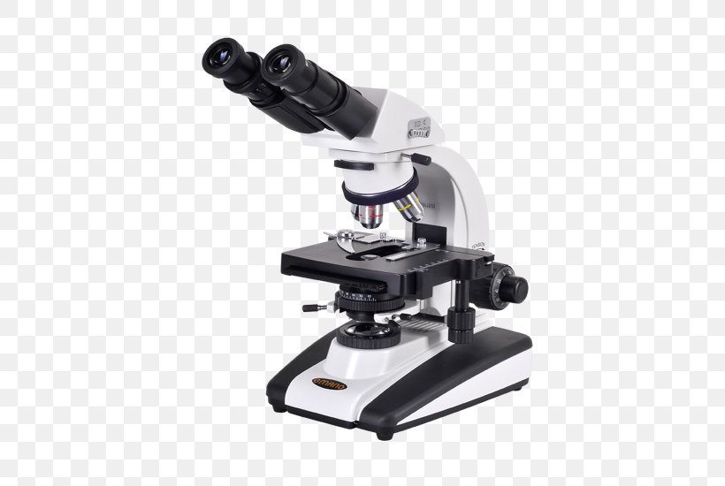 Microscope Clip Art, PNG, 550x550px, Microscope, Celestron, Display Resolution, Image Resolution, Optical Instrument Download Free