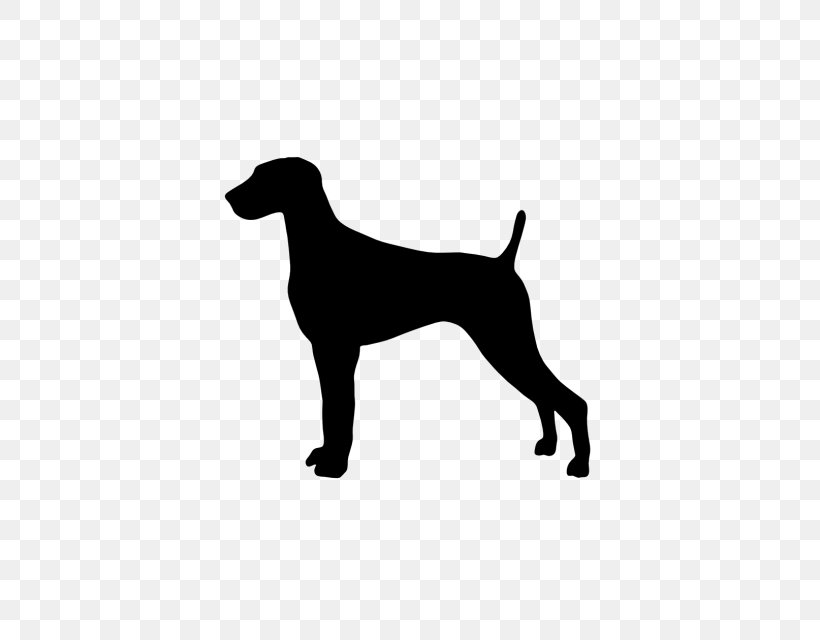 Weimaraner Dobermann Great Dane German Shorthaired Pointer Puppy, PNG, 640x640px, Weimaraner, Black, Breed, Carnivoran, Decal Download Free
