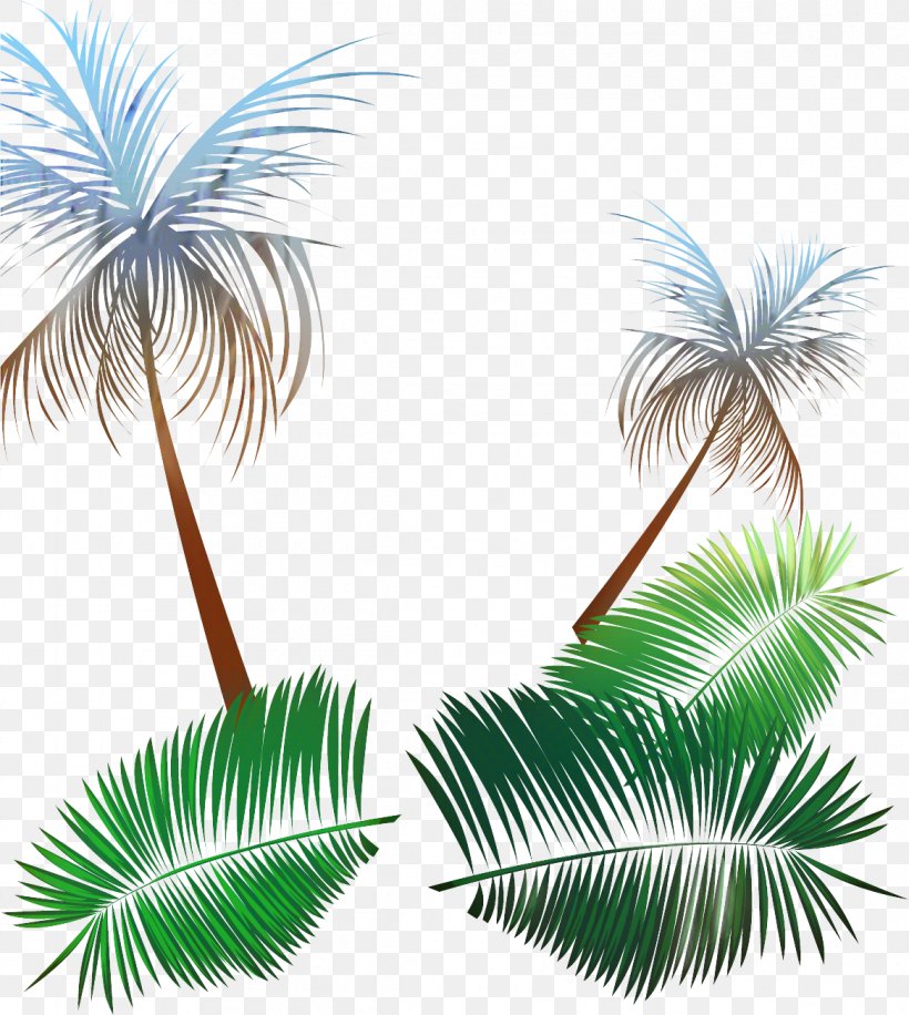 Asian Palmyra Palm Palm Trees Illustration Graphics Leaf, PNG, 1166x1303px, Asian Palmyra Palm, Arecales, Attalea Speciosa, Borassus, Borassus Flabellifer Download Free