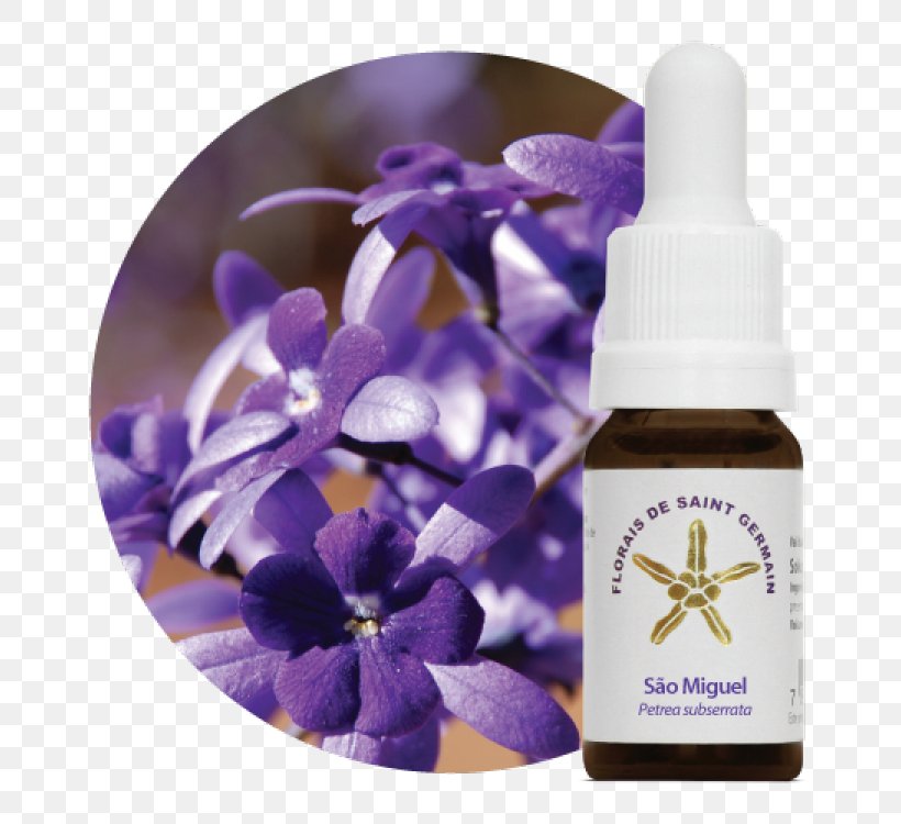 Bach Flower Remedies Therapy Homeopathy Florais De Saint Germain Physician, PNG, 750x750px, Bach Flower Remedies, Count Of St Germain, Edward Bach, Emotion, Flower Download Free