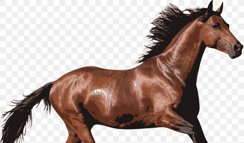 Dog Mustang American Saddlebred Equestrian Pet, PNG, 1280x755px, Dog, American Saddlebred, Animal, Bridle, Cat Download Free