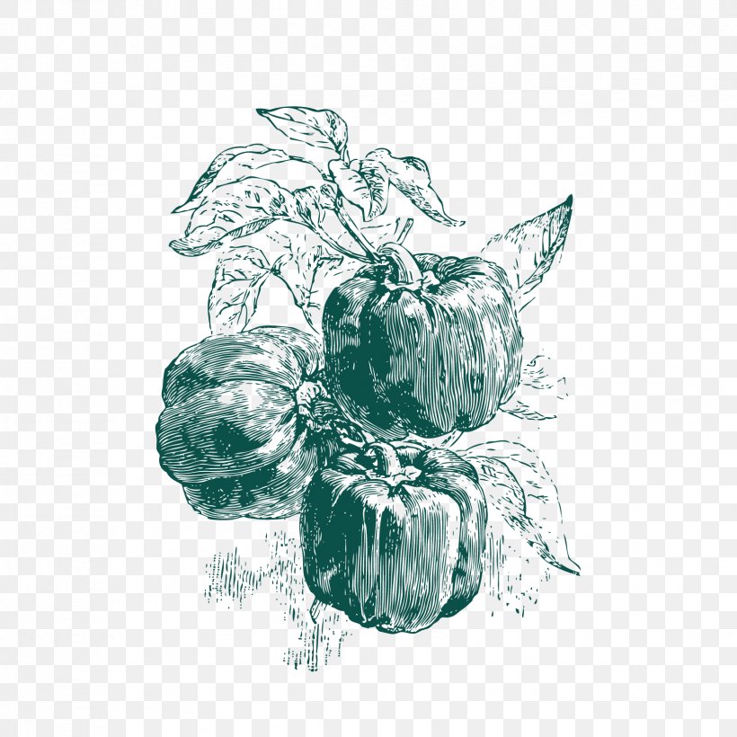 Drawing Seed Pixel, PNG, 1654x1654px, Drawing, Artwork, Black And White, Crookneck Pumpkin, Cucurbita Argyrosperma Download Free