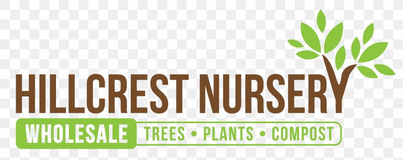 Hillcrest Nursery Tree Men Without Women, PNG, 3625x1437px, Nursery, Area, Brand, Grass, Green Download Free