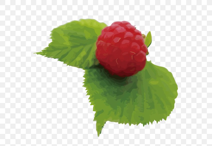 Strawberry Red Raspberry Varenye Fruit, PNG, 567x567px, Strawberry, Auglis, Berry, Cherry, Food Download Free