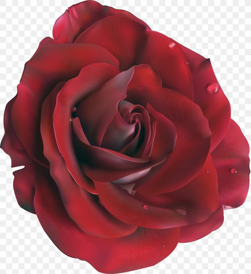 Blue Rose Flower Clip Art, PNG, 2146x2344px, Rose, Blue, Blue Rose, Color, Cut Flowers Download Free