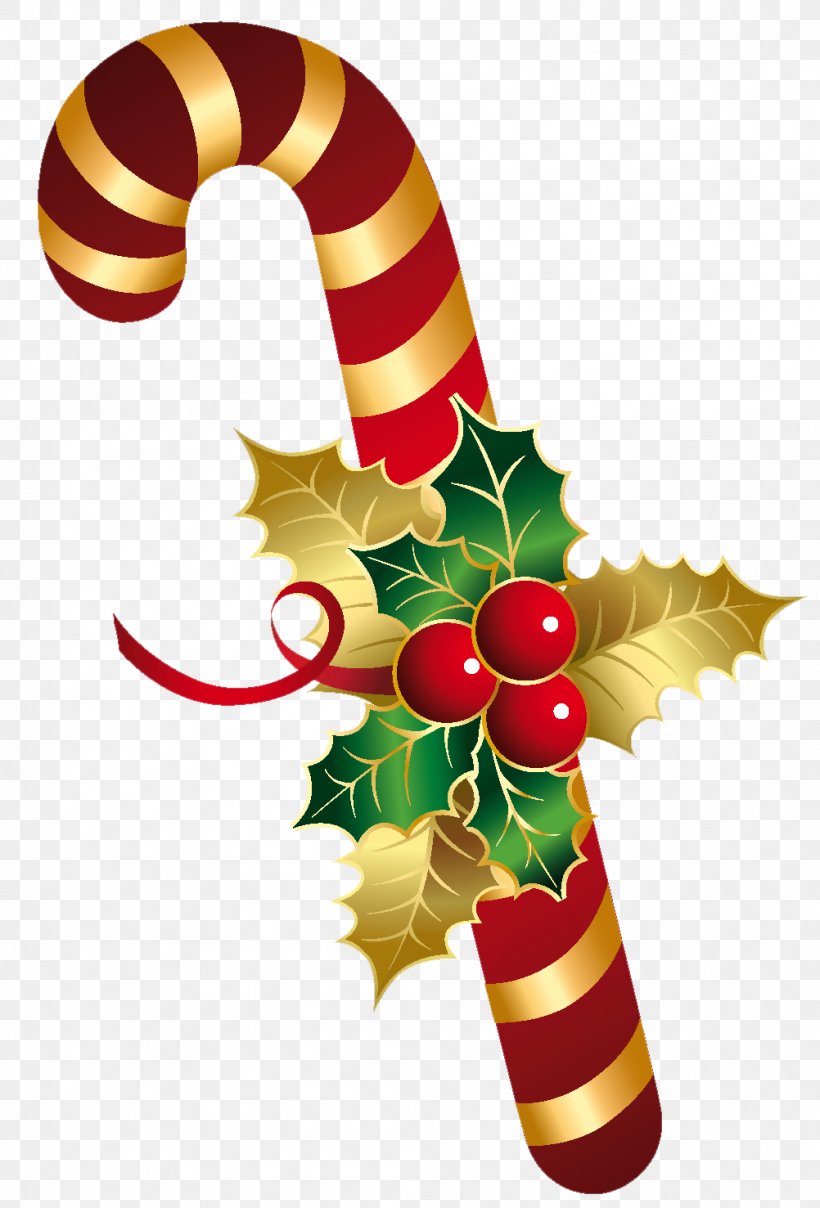 Candy Cane Stick Candy Christmas, PNG, 1002x1477px, Candy Cane, Branch, Candy, Christmas, Christmas And Holiday Season Download Free