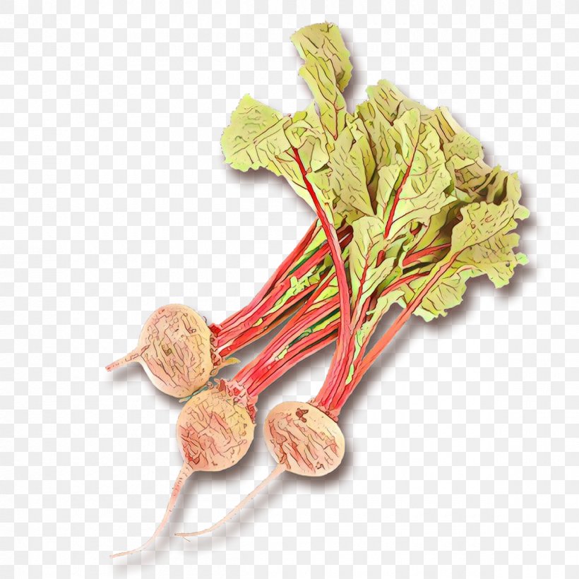 Beetroot Vegetable Plant Radish Food, PNG, 1200x1200px, Cartoon, Beetroot, Flower, Food, Plant Download Free