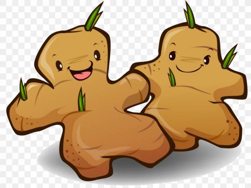Ginger Cartoon Vegetable Motion Sickness, PNG, 856x642px, Ginger, Art, Carnivoran, Cartoon, Dog Like Mammal Download Free