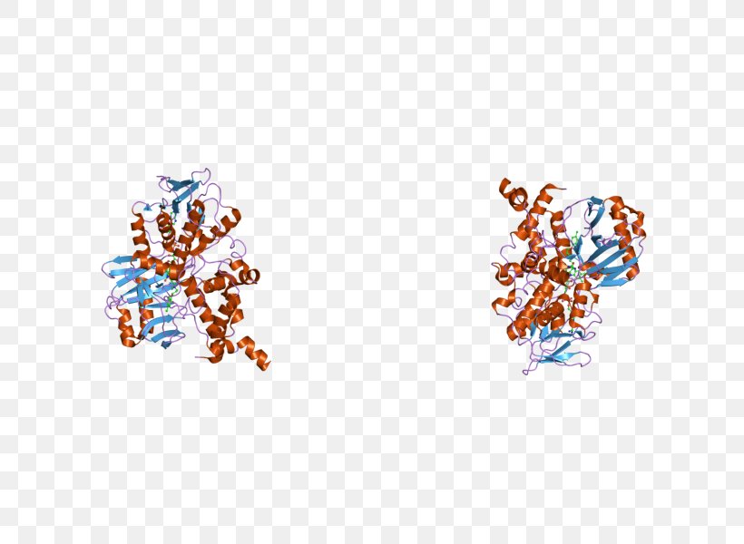 Monoamine Oxidase A Gene Monoamine Neurotransmitter Enzyme, PNG, 800x600px, Monoamine Oxidase, Art, Barr Body, Biological Activity, Body Jewelry Download Free