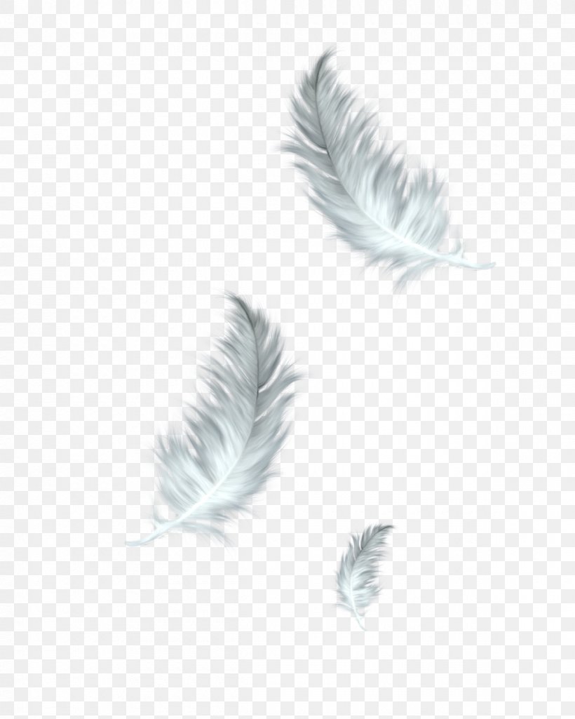 The Floating Feather Bird Clip Art, PNG, 1200x1500px, Feather, Bird, Black And White, Description, Flickerfall Download Free