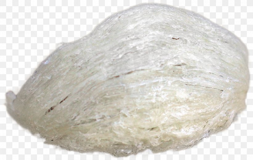 White Edible Birds Nest, PNG, 955x604px, White, Clam, Clams Oysters Mussels And Scallops, Color, Copyright Download Free