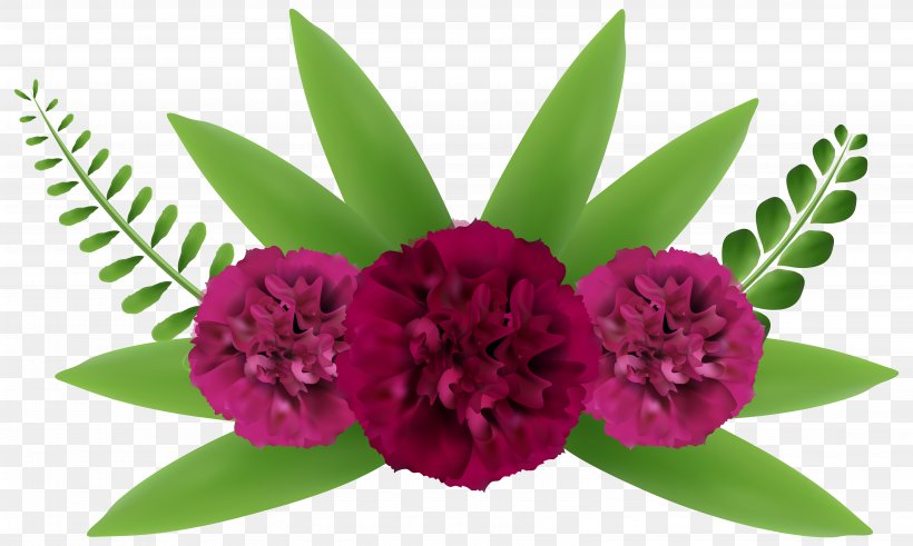 Flower Beauty Clip Art, PNG, 6411x3840px, Flower, Beauty, Color, Cut Flowers, Floral Design Download Free
