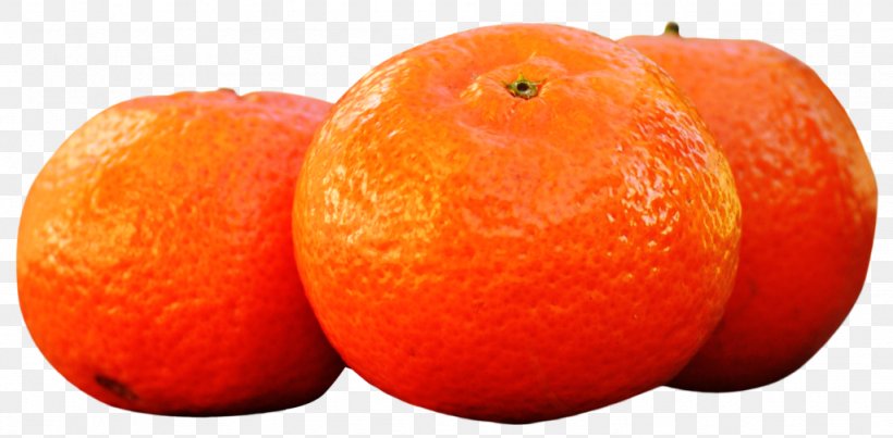 Tangelo Clementine Tangerine Mandarin Orange, PNG, 1024x504px, Tangelo, Accessory Fruit, Bitter Orange, Blood Orange, Calamondin Download Free