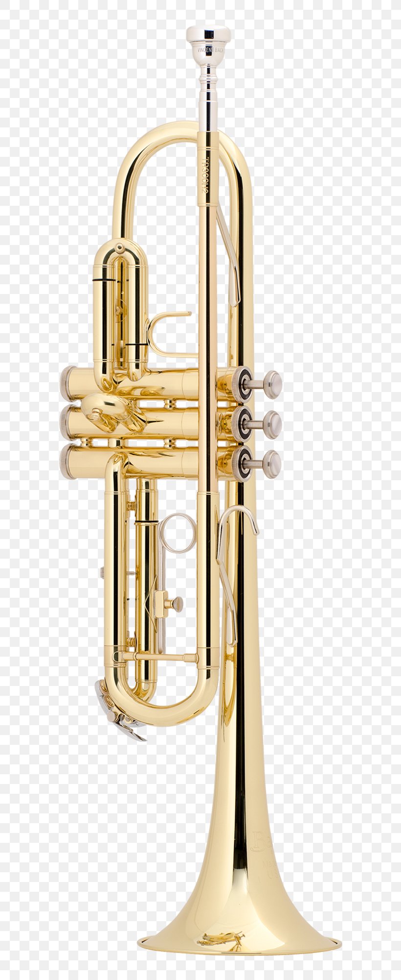 Brass Instruments Trumpet Musical Instruments Cornet Flugelhorn, PNG, 700x2000px, Watercolor, Cartoon, Flower, Frame, Heart Download Free