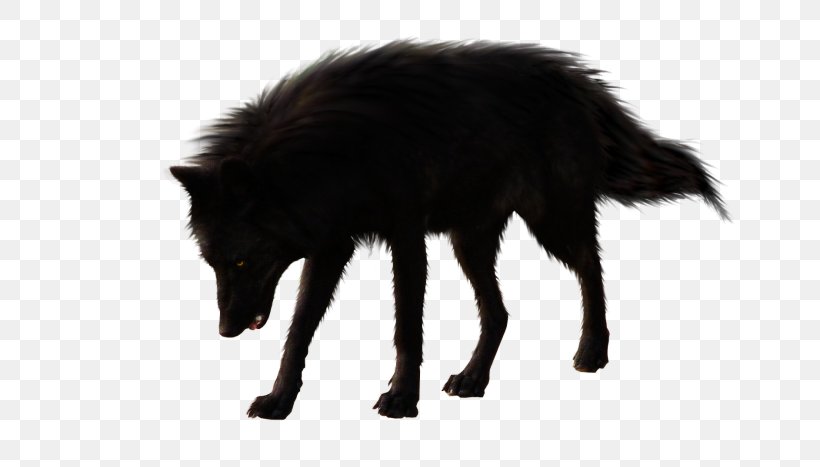 Dog Black Wolf Arctic Wolf, PNG, 700x467px, Dog, Arctic Wolf, Black Wolf, Carnivoran, Dog Like Mammal Download Free