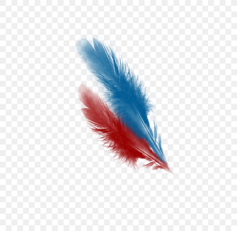 Feather Close-up, PNG, 793x800px, Feather, Beak, Blue, Closeup, Quill Download Free