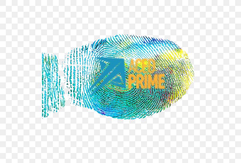 Fingerprint Society Forensic Linguistics Forensic Science Coaching, PNG, 548x554px, Fingerprint, Aqua, Coaching, Concept, Fingerabdruckscanner Download Free