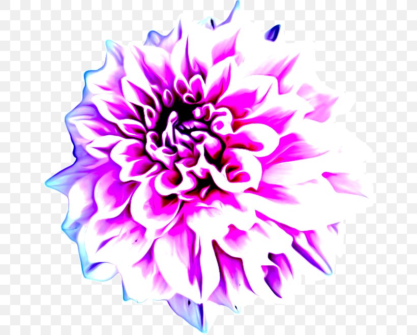 Floral Design, PNG, 650x659px, Dahlia, Aster, Chrysanthemum, Cut Flowers, Daisy Family Download Free
