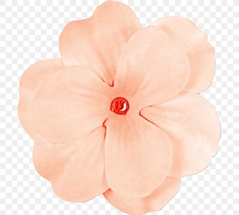 Petal Pink Flower Plant Impatiens, PNG, 700x737px, Watercolor, Flower, Geranium, Hair Accessory, Impatiens Download Free