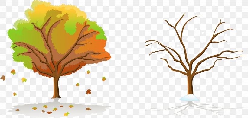 Season Tree Autumn, PNG, 2463x1176px, Season, Autumn, Branch, Conifers, Deciduous Download Free
