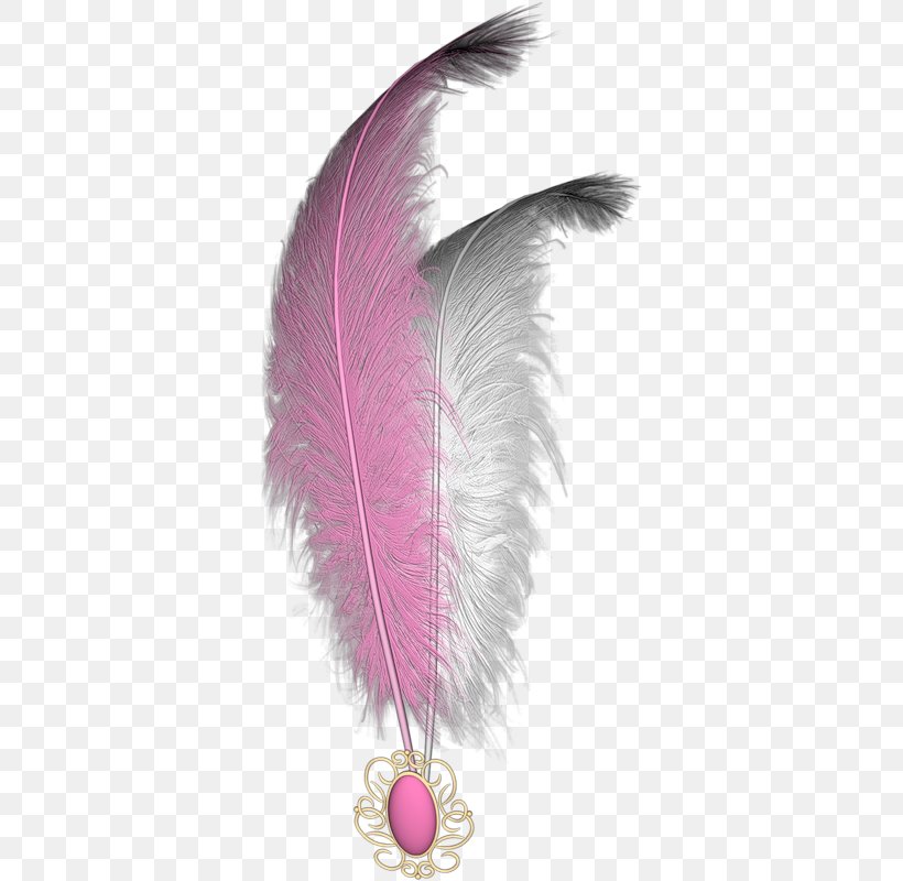 White Feather Bird, PNG, 348x800px, Feather, Bird, Color, Pink, Plot Download Free