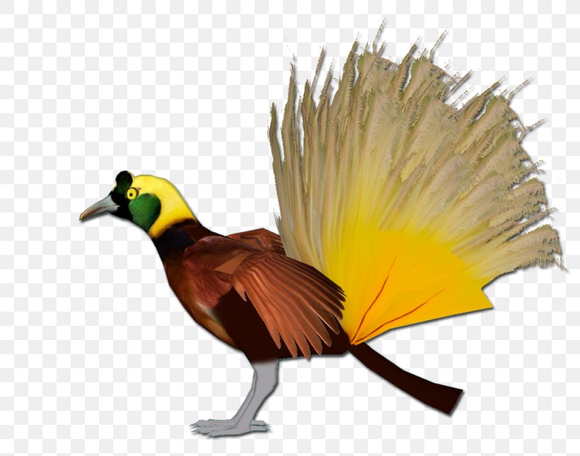 Beak Galliformes Feather Wing Animal, PNG, 1024x805px, Beak, Animal, Bird, Fauna, Feather Download Free