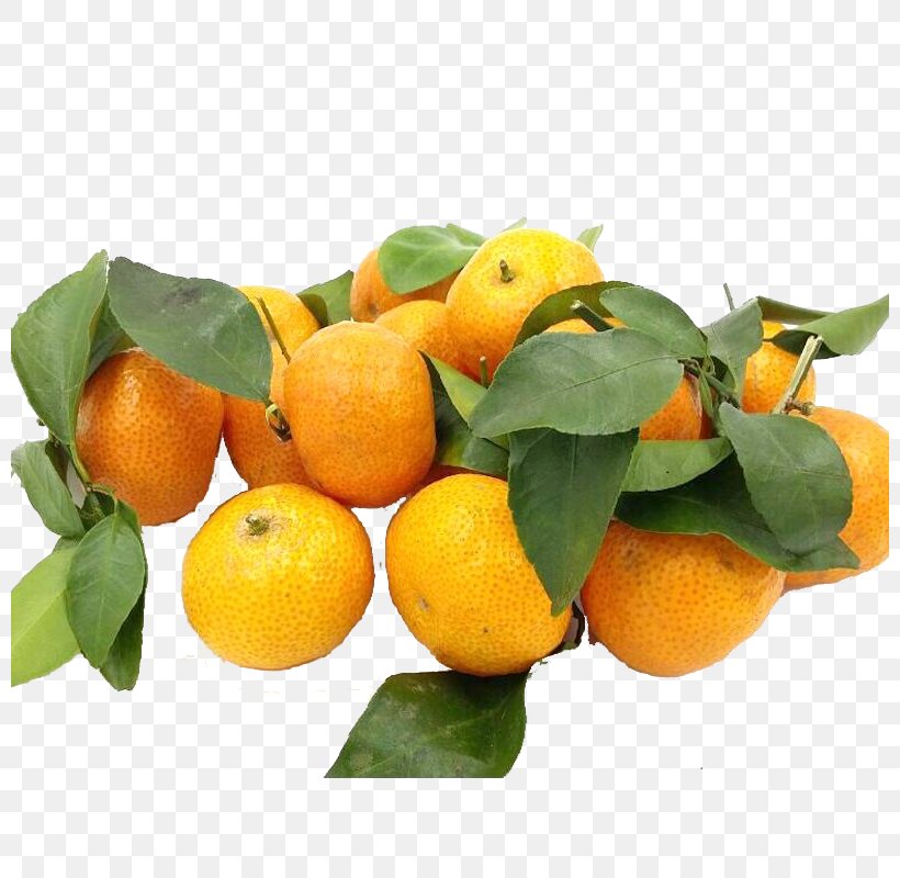 Clementine Mandarin Orange Tangerine Tangelo, PNG, 800x800px, Clementine, Bitter Orange, Calamondin, Chenpi, Citric Acid Download Free